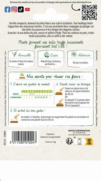 Fleurs - Capucine Tom Pouce en Mélange - MEDIA_PACKAGING_VERSO